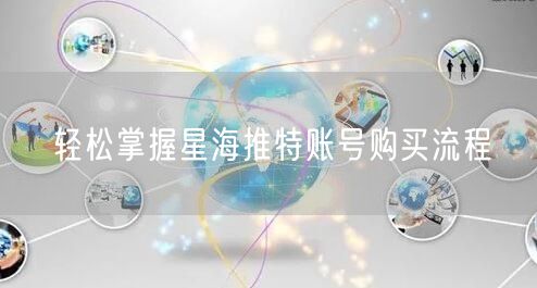 轻松掌握星海推特账号购买流程