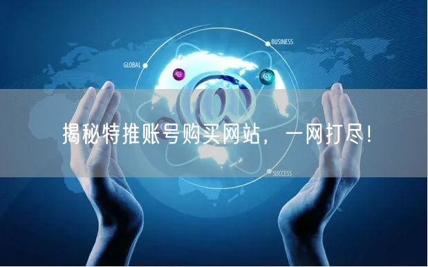 揭秘特推账号购买网站，一网打尽！