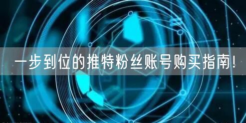 一步到位的推特粉丝账号购买指南！