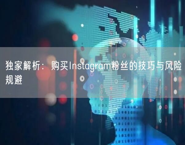 独家解析：购买Instagram粉丝的技巧与风险规避