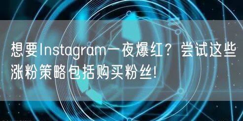 想要Instagram一夜爆红？尝试这些涨粉策略包括购买粉丝!