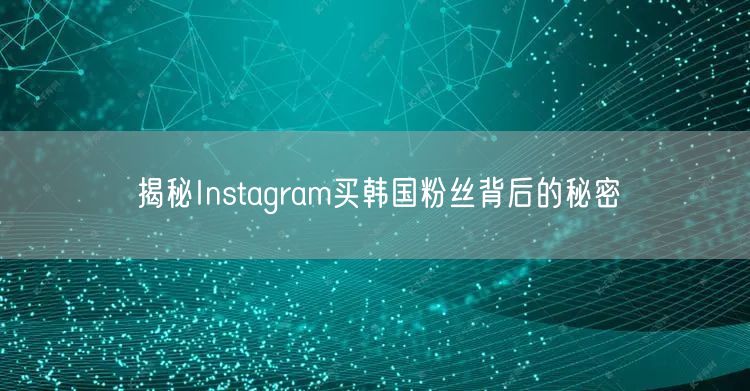 揭秘Instagram买韩国粉丝背后的秘