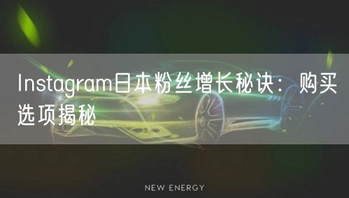 Instagram日本粉丝增长秘诀:购买选项揭秘