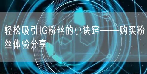 轻松吸引IG粉丝的小诀窍——购买粉丝体验分享！