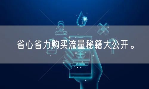 省心省力购买流量秘籍大公开。