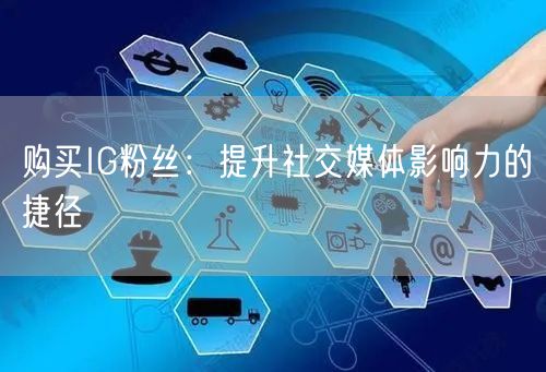 购买IG粉丝:提升社交媒体影响力的捷径