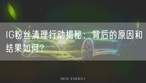 IG粉丝清理行动揭秘：背后的原因和结果如