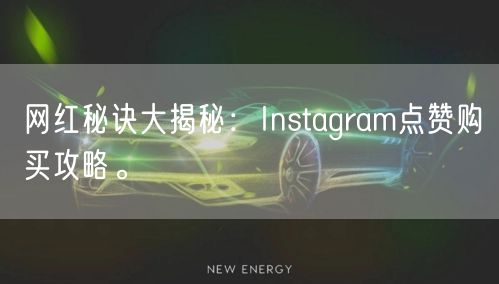 网红秘诀大揭秘:Instagram点赞购买攻略。