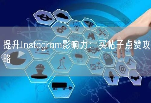 提升Instagram影响力:买帖子点赞攻略