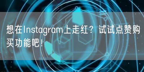 想在Instagram上走红？试试点赞购买功能吧！