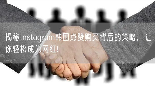 揭秘Instagram韩国点赞购买背后的策略，让你轻松成为网