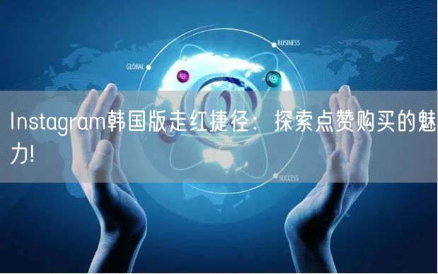 Instagram韩国版走红捷径:探索点赞购买的魅力!