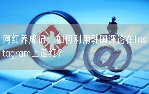 网红养成记:如何利用韩国评论在Instagram上走红?