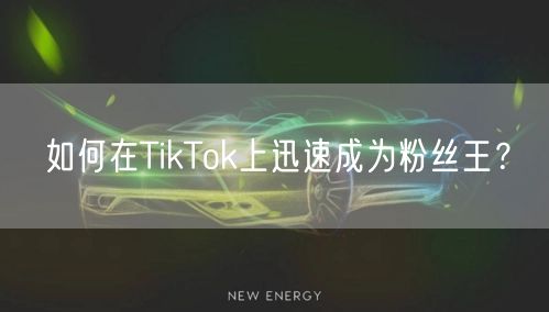 如何在TikTok上迅速成为粉丝王？