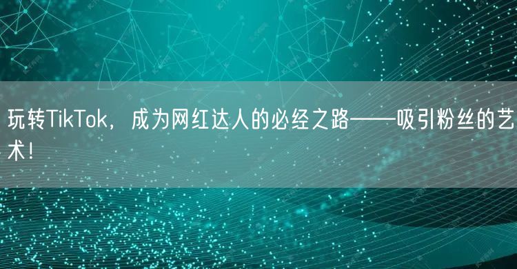 玩转TikTok，成为网红达人的必经之路