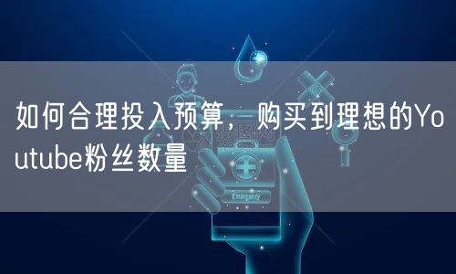 如何合理投入预算，购买到理想的Youtu