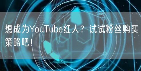 想成为YouTube红人?试试粉丝购买策