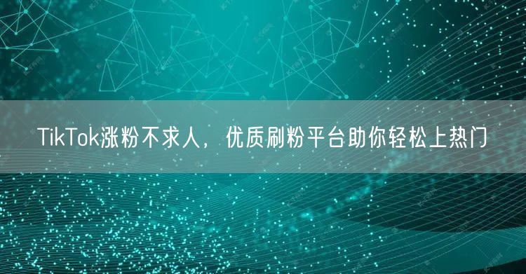 TikTok涨粉不求人，优质刷粉平台助你