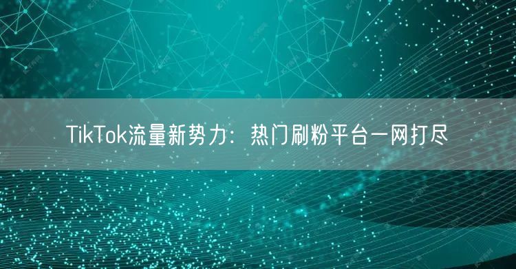 TikTok流量新势力：热门刷粉平台一网