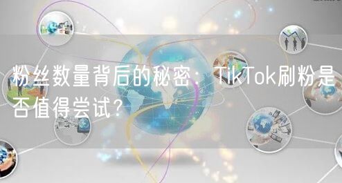 粉丝数量背后的秘密:TikTok刷粉是否