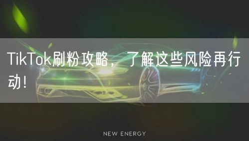 TikTok刷粉攻略,了解这些风险再行动