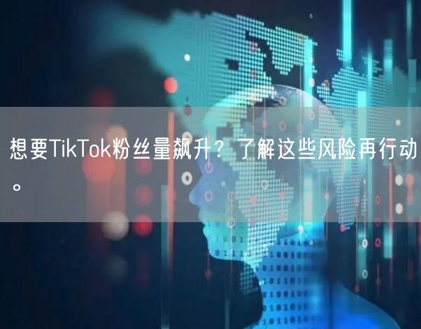 想要TikTok粉丝量飙升？了解这些风险