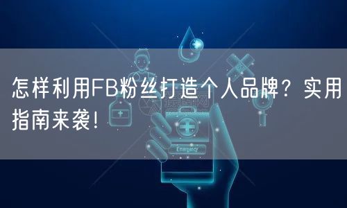 怎样利用FB粉丝打造个人品牌？实用指南来袭！