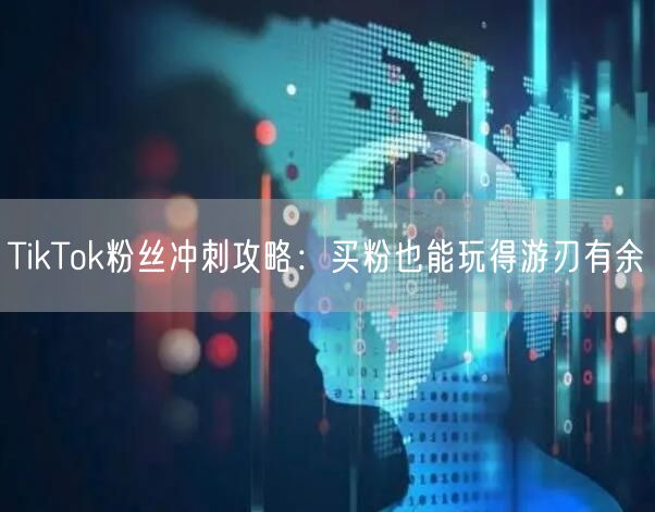TikTok粉丝冲刺攻略：买粉也能玩得游刃有余