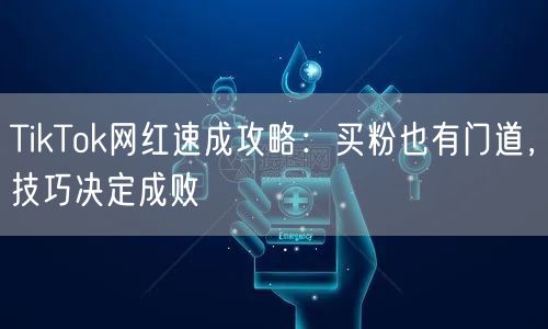 TikTok网红速成攻略：买粉也有门道，技巧决定成败