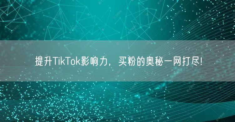 提升TikTok影响力，买粉的奥秘一网打尽!