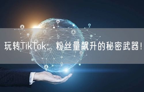 玩转TikTok，粉丝量飙升的秘密武器！