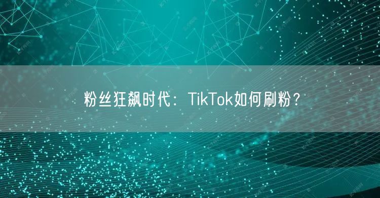粉丝狂飙时代：TikTok如何刷粉？