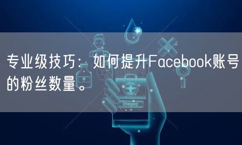 专业级技巧：如何提升Facebook账号的粉丝数量。