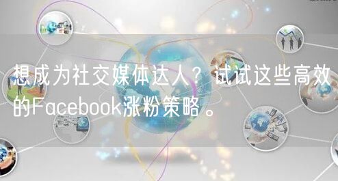 想成为社交媒体达人？试试这些高效的Facebook涨粉策略。