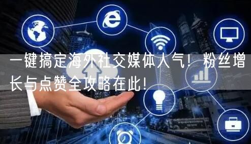 一键搞定海外社交媒体人气！粉丝增长与点赞全攻略在此！