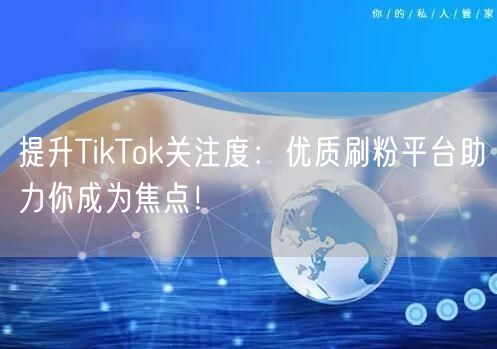 提升TikTok关注度：优质刷粉平台助力
