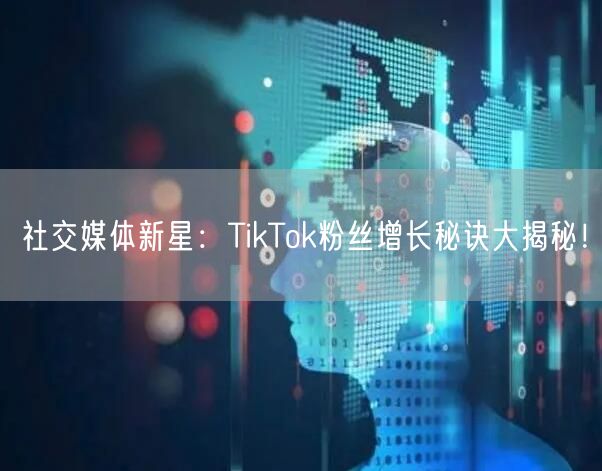 社交媒体新星：TikTok粉丝增长秘诀大揭秘！