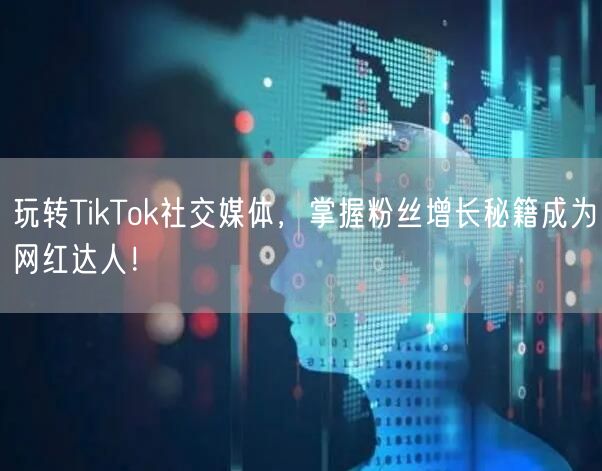 玩转TikTok社交媒体，掌握粉丝增长秘籍成为网红达人！