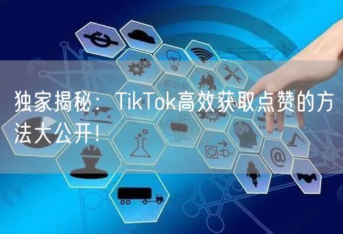 独家揭秘：TikTok高效获取点赞的方法大公开！
