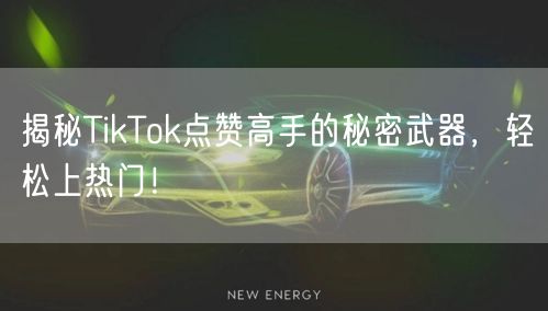 揭秘TikTok点赞高手的秘密武器,轻松上热门!