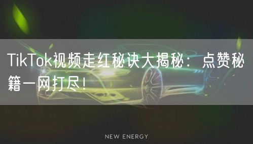 TikTok视频走红秘诀大揭秘：点赞秘籍一网打尽！