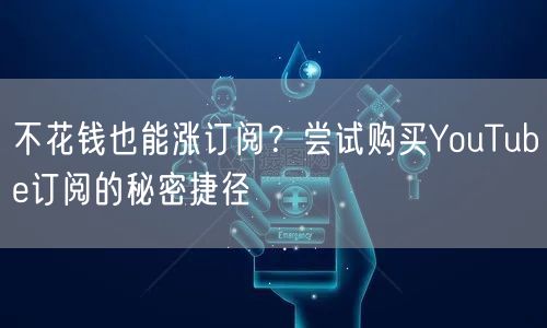 不花钱也能涨订阅？尝试购买YouTube