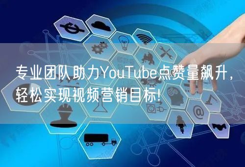 专业团队助力YouTube点赞量飙升，轻松实现视频营销目标!