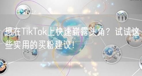 想在TikTok上快速崭露头角？试试这些实用的买粉建议！