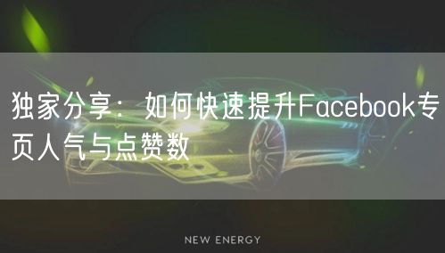 独家分享：如何快速提升Facebook专页人气与点赞数