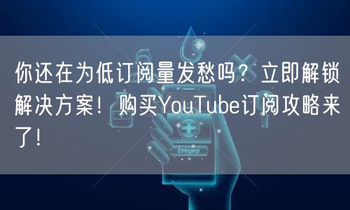 你还在为低订阅量发愁吗？立即解锁解决方案！购买YouTube订阅攻略来了！