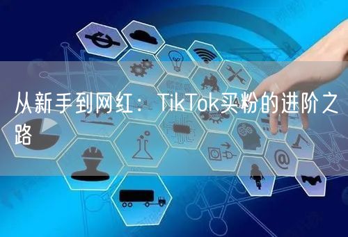 从新手到网红：TikTok买粉的进阶之路