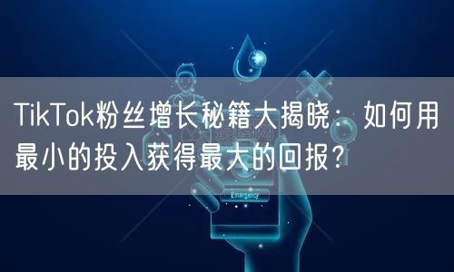 TikTok粉丝增长秘籍大揭晓：如何用最小的投入获得最大的回报？