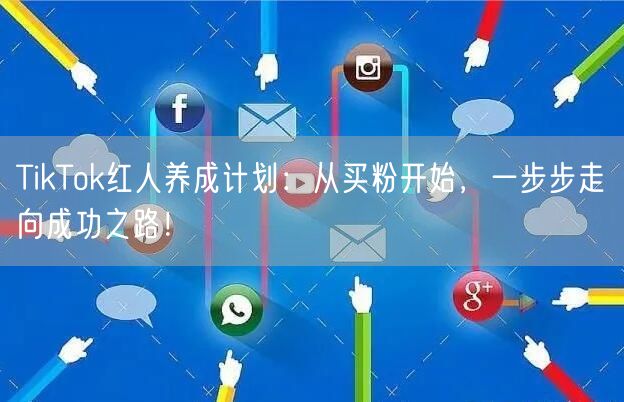 TikTok红人养成计划：从买粉开始，一步步走向成功之路！