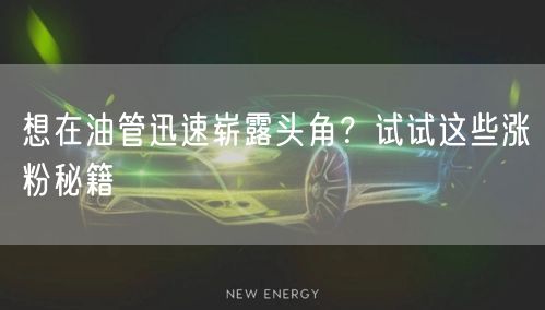想在油管迅速崭露头角？试试这些涨粉秘籍